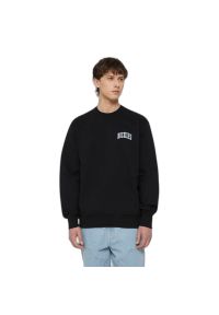 Bluza Dickies Aitkin. Kolor: wielokolorowy, niebieski, czarny #1