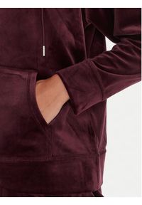 DKNY Sport Bluza DP5J9634 Bordowy Regular Fit. Kolor: czerwony. Materiał: syntetyk. Styl: sportowy