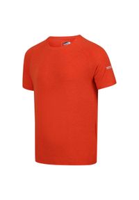 Regatta - Ambulo męska turystyczna koszulka z krótkim rękawem. Kolor: pomarańczowy. Długość rękawa: krótki rękaw. Długość: krótkie. Sport: turystyka piesza