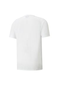 Podkoszulek Puma Teamfinal Casuals Tee, Mężczyźni. Kolor: biały