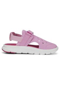 Buty do chodzenia dla dzieci Puma Evolve AC PS. Zapięcie: rzepy. Kolor: różowy. Materiał: materiał, syntetyk