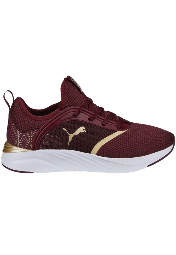 Buty do biegania damskie Puma Softride Ruby. Kolor: czerwony