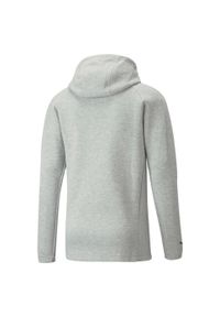 Bluza z kapturem Puma Teamfinal Casuals Hooded Jkt, Mężczyźni. Typ kołnierza: kaptur. Kolor: szary. Materiał: materiał, bawełna