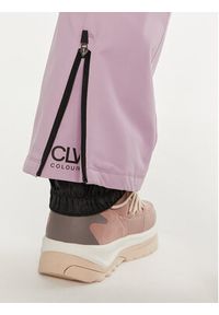 Colourwear Spodnie narciarskie Cork Pant 7010322 Różowy Regular Fit. Kolor: różowy. Materiał: syntetyk. Sport: narciarstwo #5