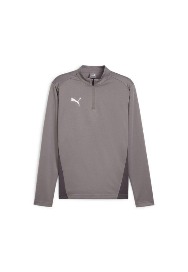 Treningowy top Puma TeamGoal. Kolor: szary. Sport: piłka nożna