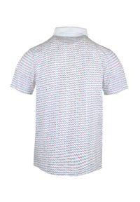 Koszulka Polo - Męska - Pako Jeans - Biała w Drobny Wzór. Okazja: na co dzień. Typ kołnierza: polo. Kolor: biały. Materiał: bawełna. Styl: casual