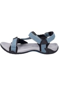 Sandały CMP Hamal Hiking M 38Q9957M916 niebieskie. Nosek buta: otwarty. Zapięcie: rzepy. Kolor: niebieski. Materiał: materiał, syntetyk, guma. Wzór: motyw zwierzęcy #7