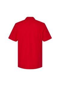 GILDAN - Koszulka Polo Dla Dorosłych Unisex Softstyle Pique. Typ kołnierza: polo. Kolor: czerwony