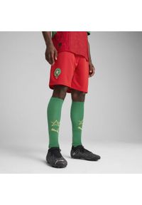 Puma - Męskie szorty Maroko 2025 PUMA Red Archive Green. Kolor: czerwony, zielony, wielokolorowy. Sport: piłka nożna