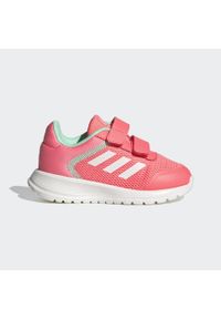 Buty sportowe dziecięce Adidas Tensaur Run. Kolor: biały, zielony, czerwony, wielokolorowy. Materiał: materiał. Sport: bieganie