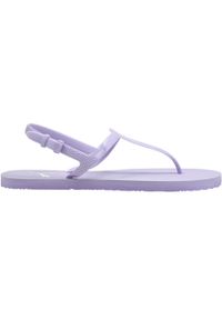 Sandały do chodzenia damskie Puma Cozy Sandal Wns. Kolor: fioletowy. Sport: turystyka piesza #1