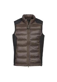 IDAHO - Kurtka puchowa bez rękawów Idaho Nevada. Kolor: brązowy. Materiał: puch. Długość rękawa: bez rękawów. Sport: outdoor #1