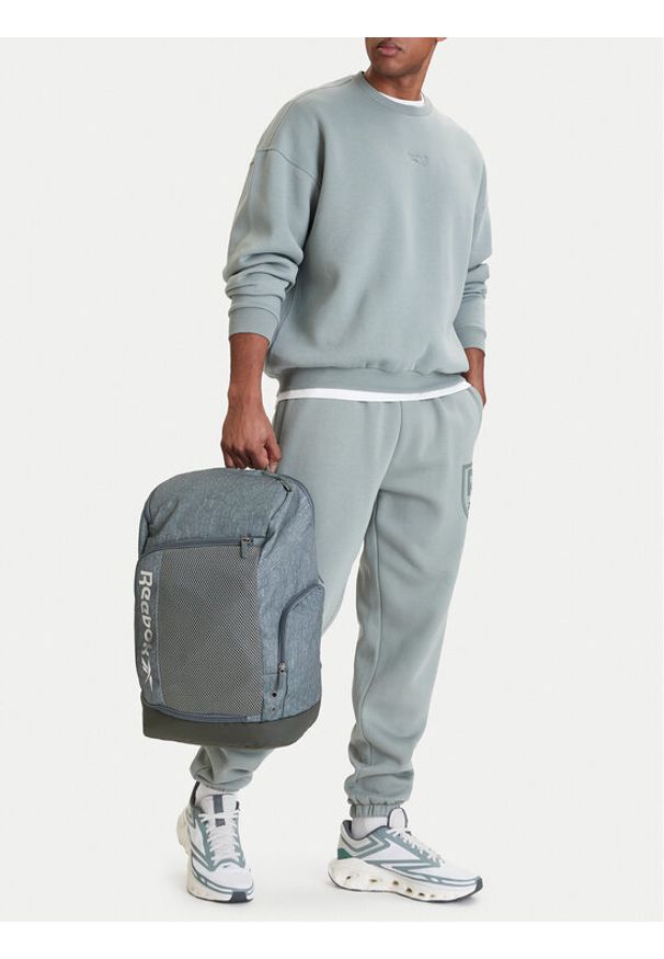 Reebok Plecak CWBEO-RBK-WS-007-09 Szary. Kolor: szary. Materiał: materiał