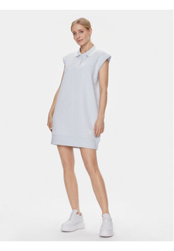 Guess Sukienka codzienna Cheri V4RK00 KBSL0 Błękitny Regular Fit. Okazja: na co dzień. Kolor: niebieski. Materiał: syntetyk. Typ sukienki: proste. Styl: casual