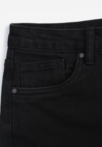 Renee - Czarne Szorty Jeansowe z Dodatkiem Bawełny High Waist z Przetarciami na Nogawkach Vimalen. Stan: podwyższony. Kolor: czarny. Materiał: bawełna, jeans. Sezon: lato. Styl: elegancki #3