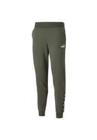 Spodnie damskie Puma power Pants FL cl Grape Lea. Kolor: zielony #1