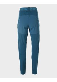Spodnie trekkingowe damskie Halti Pallas X-Stretch Lite. Kolor: niebieski