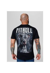 PITBULL - Koszulka bawełniana sportowy t-shirt dla dorosłych Street King. Kolor: wielokolorowy, szary, czarny. Materiał: bawełna #1