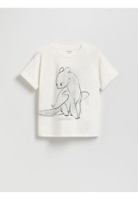Reserved - T-shirt Jak wytresować smoka - złamana biel. Materiał: bawełna