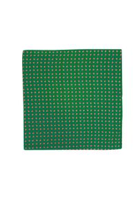 Adam Collection - Zielona jedwabna poszetka w brzoskwinie EJ19. Kolor: zielony. Materiał: jedwab #1