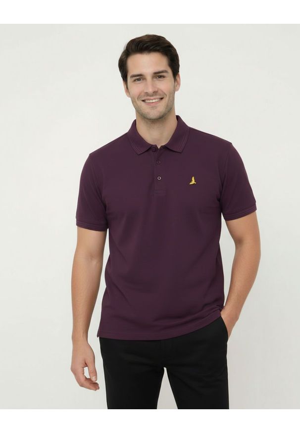 Klasyczna, Męska Koszulka Polo - Brave Soul - Kolor Burgundowy. Okazja: na co dzień. Typ kołnierza: polo. Kolor: czerwony. Materiał: bawełna. Sezon: wiosna, lato. Styl: klasyczny