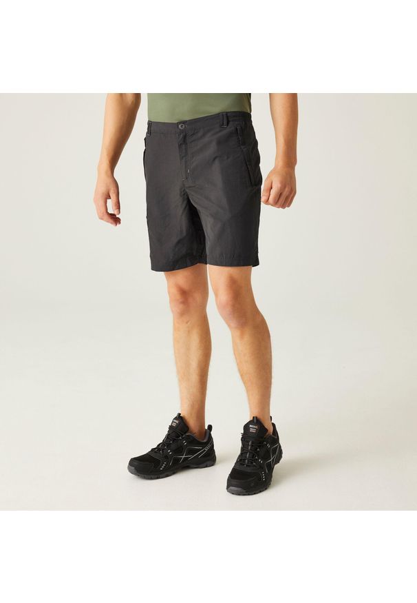 Regatta - Leesville II męskie spodenki trekkingowe. Kolor: szary. Materiał: poliamid. Sport: turystyka piesza