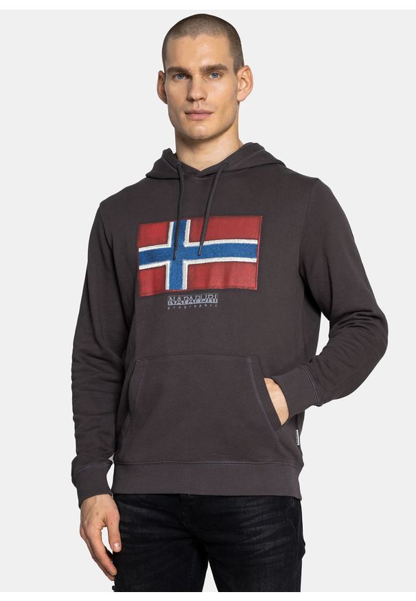 Bluza męska Napapijri Birol Hoodie Sweatshirt (NP0A4F9Q1981). Kolor: szary