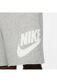 Spodenki sportowe męskie Nike Club Alumni HBR FT Short. Kolor: szary