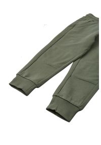 Reima spodnie dresowe dziecięce kolor zielony gładkie. Kolor: zielony. Materiał: dresówka. Wzór: gładki