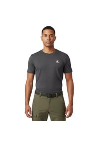 FJORK MERINO - Męska koszulka trekkingowa z merynosów. Kolor: szary. Materiał: wełna. Sport: turystyka piesza #1