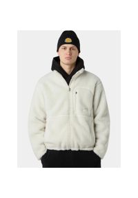 Sweter Męski The North Face M Extreme Pile 2 Fz. Kolor: biały. Materiał: polar. Sport: turystyka piesza
