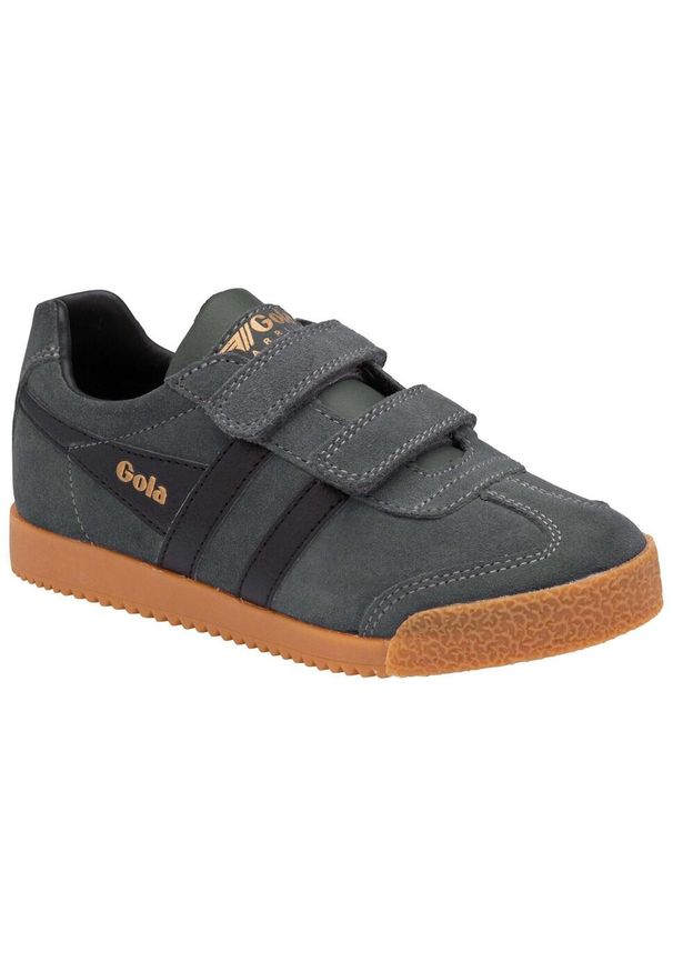 Trenerzy dziecięcy Gola Harrier Velcro. Kolor: czarny, szary, wielokolorowy. Sport: turystyka piesza