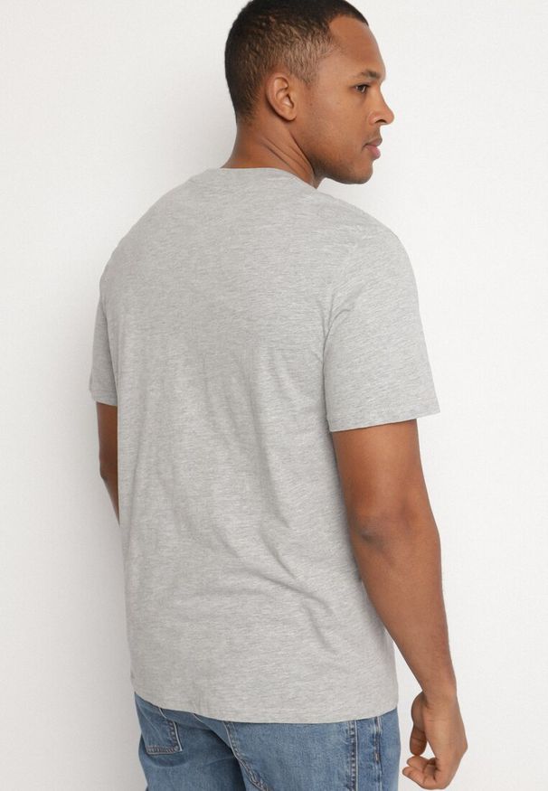 Born2be - Jasnoszara Koszulka z Bawełny Zdobiona Nadrukiem Tuleldia. Okazja: na co dzień. Kolor: szary. Materiał: bawełna. Wzór: nadruk, aplikacja. Styl: casual, elegancki