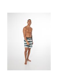 Szorty kąpielowe męskie Protest PRTJADRANKO. Kolor: wielokolorowy #1