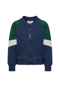 Zippowana bluza dla niemowląt Hummel Block. Kolor: niebieski. Materiał: dresówka #1