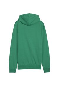 Bluza męska Puma Team Goal Casuals Hoody. Kolor: zielony. Sport: koszykówka