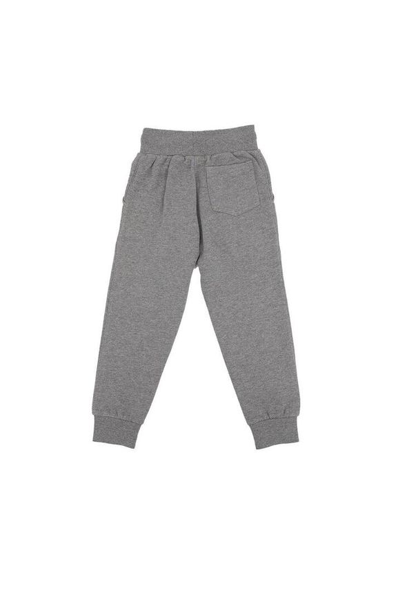 LEONE 1947 APPAREL - Dziecięce spodnie dresowe basic z dużym logo. Kolor: szary. Materiał: dresówka. Sport: joga i pilates