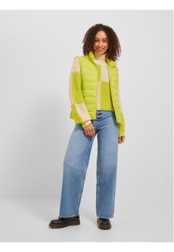 JJXX Bezrękawnik Nora 12224641 Zielony Regular Fit. Kolor: zielony. Materiał: syntetyk. Długość rękawa: bez rękawów