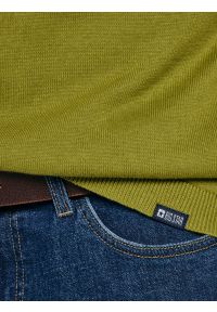Big-Star - Sweter męski bawełniany zielony Simoner 301. Okazja: na co dzień. Kolor: zielony. Materiał: bawełna. Długość rękawa: długi rękaw. Długość: długie. Wzór: gładki, aplikacja, ze splotem. Styl: casual, klasyczny #4