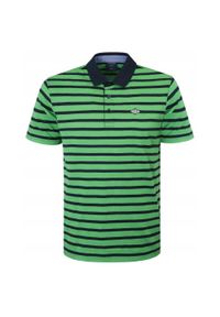 Koszulka Polo - Męska - Pako Jeans - Zielona w Granatowy Prążek. Okazja: na co dzień. Typ kołnierza: polo. Kolor: wielokolorowy, niebieski, zielony. Materiał: bawełna. Wzór: paski, prążki. Styl: casual