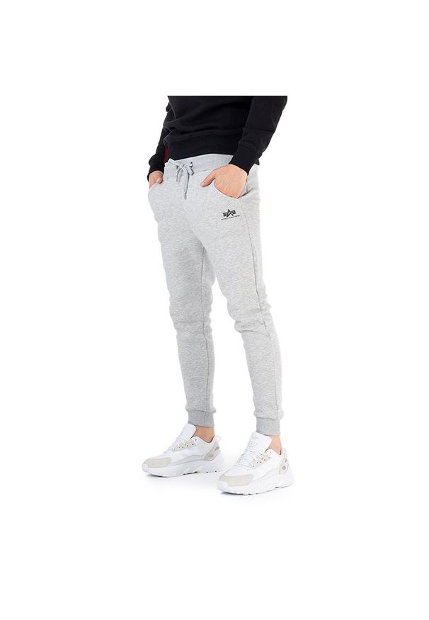 Spodnie Alpha Industries Basic Jogger SL 11637017 - szare. Kolor: szary. Materiał: materiał, bawełna, poliester. Wzór: aplikacja