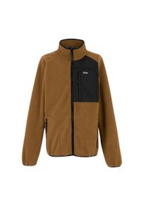 Regatta - Bluza Polarowa Męska Borg Frankie. Kolor: brązowy. Materiał: polar. Sezon: zima. Styl: sportowy. Sport: turystyka piesza #1