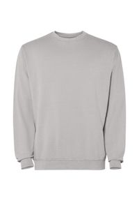 ROLY - Bluza Unisex Dla Dorosłych Jaya Z Okrągłym Dekoltem. Kolor: szary