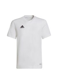 Adidas - Koszulka dla dzieci adidas Entrada 22 Tee. Kolor: biały