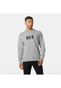 Bluza Helly Hansen Logo. Kolor: szary