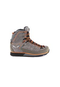 Buty Trekkingowe Męskie Salewa Mtn Trainer 2 Winter Gtx. Kolor: wielokolorowy