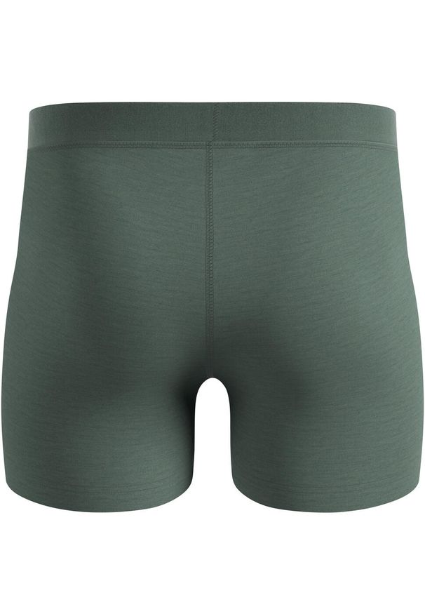Bokserki Odlo Boxer MERINO 160. Kolor: zielony. Sport: fitness