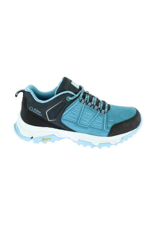 ELEMENTERRE - Buty turystyczne Élémenterre Abbots EV. Kolor: szary, niebieski, wielokolorowy. Styl: sportowy. Sport: turystyka piesza