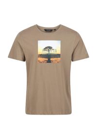 Regatta - TShirt Męski Drzewo Z Bawełny Cline VI. Kolor: zielony, brązowy, wielokolorowy. Materiał: bawełna