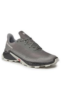 salomon - Salomon Buty do biegania Alphacross 5 473133 29 W0 Szary. Kolor: szary. Materiał: materiał #4